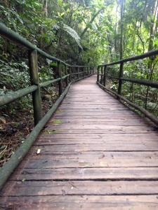 Parque Estadual do Jaraguá (자라과 주립공원) 방문기