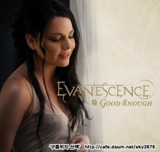 EVANESCENCE(Amy Lee)