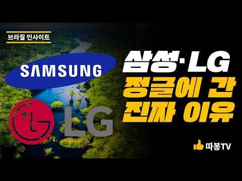 [따봉TV] 합법적 탈세 국경지대: 마나우스 자유무역지대(ZFM)의 잔혹한 생태 경제학
