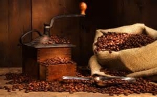 상파울로 도심속 커피 농장
